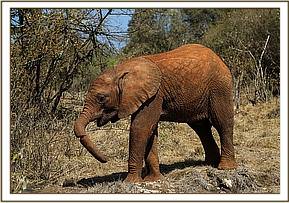 Little Enkesha is doing so well