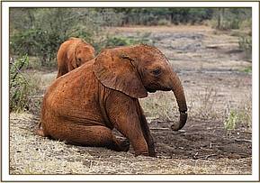 Enkesha playing around