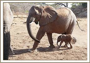 Kinna with baby Kama