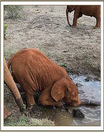 Enkesha has to drink through her mouth
