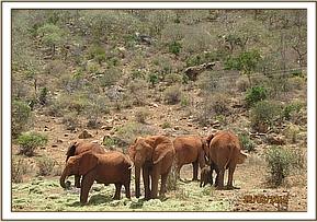 Ella, Seraah, Mweya, Thoma, Eden and Edie
