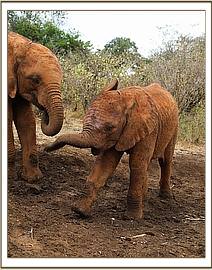 Enkesha having so much fun
