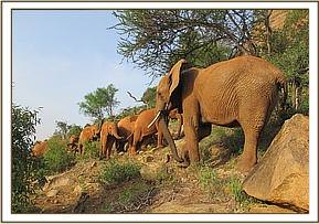 Emily's group encounters the youngsters