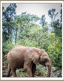 Mundusi finds a quiet spot to browse