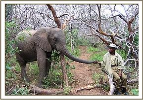 Wendi sniffs at one of the new keepers