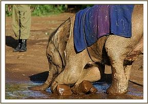 Lesanju at the mudbath