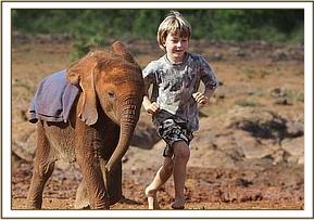 Angela Sheldrick's son Roan running with Lesanju