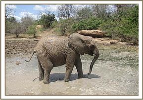 Lualeni having fun in the water