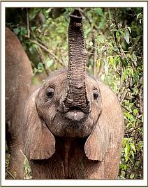 Kiasa ready to head down to the mud-bath