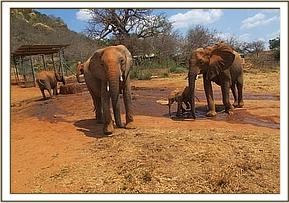 Yatta, Yetu and Kinna
