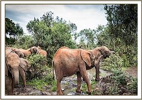 Sagala Tagwa and Tasayen crossing the stream
