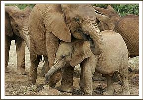 Lualeni being protective of Makena