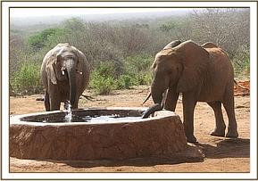 Lualeni and Kora