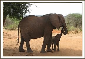 Mwende with Mulika