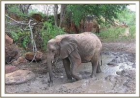 Mulika playing with mud