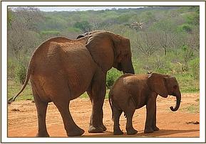 Mulika and Mwende