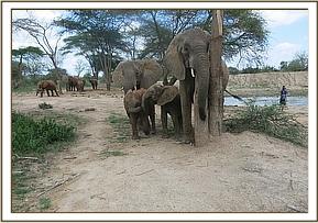 Laragai plays with Mwende