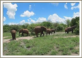 Lualeni feeding with the orphans