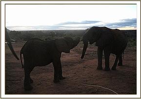 Narok greets Taita