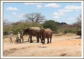 Lualeni tries to steal milk