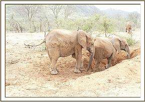 Bomani and Orwa digging up dust