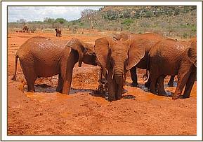 Lesanju left and others in the water