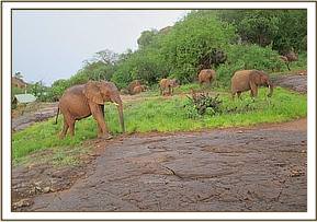 Lualeni joins the orphans in the morning