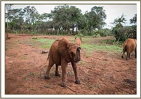 Kiasa playing around