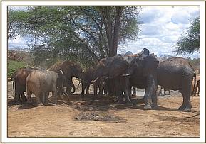 Lualeni, Tomboi and Kenze drink with the orphans