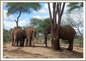 Taita and the juniors