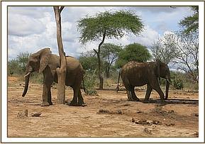 Madiba and Orok visited the orphans