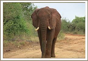 Napasha joined the orphans