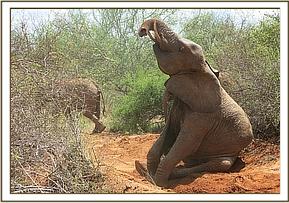 Lualeni playing in the mud