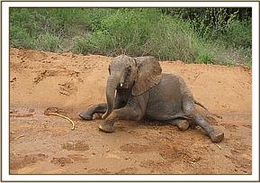 Ithumbah playing on the ground
