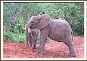 Lualeni joins the orphans