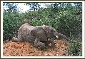 Mulika playing