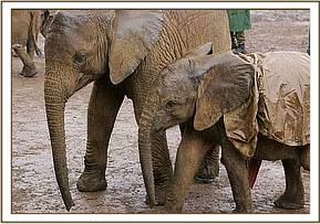 Makena and Lualeni enjoying the rain