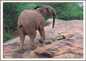 Taita climbing