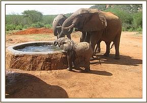 Yetu, Kijana and Yatta