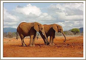 Laikipia & Natumi inspects a dry water hole