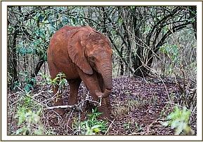Enkesha up bright and early!
