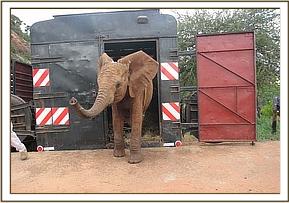 Lempaute arrives at Voi