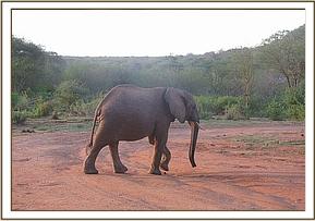 Taita