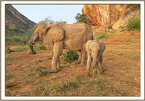 Mulika and Mwende