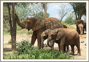 Taita with Laragai and Narok