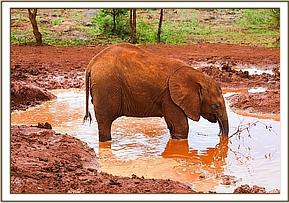 Enkesha on her private mud bath mission