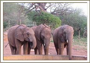 Bomani, Barsilinga and Orwa drinking water
