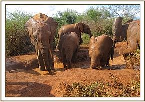 Taita bathing with the juniors