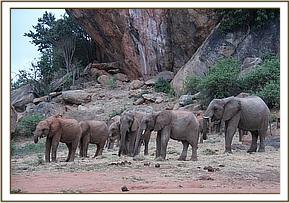 Lualeni, right, with the orphans