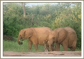 Namalok and Maramoja